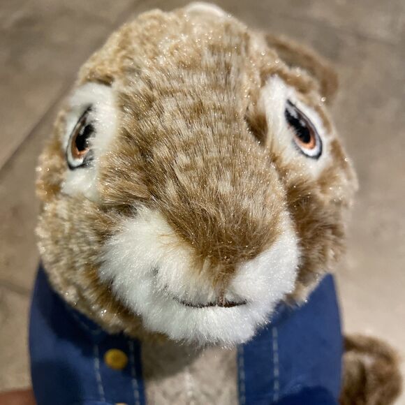 Dan Dee Collection Peter Rabbit Plush Easter Basket Decoration - Picture 10 of 15